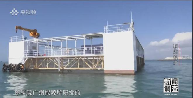 央視《新聞調查》重磅聚焦，湛江水產養殖“游”向深遠海