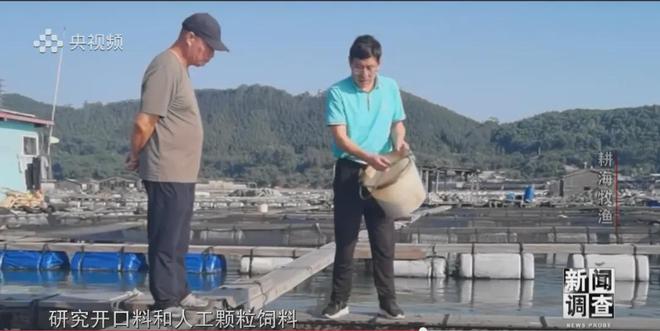 央視《新聞調查》重磅聚焦，湛江水產養殖“游”向深遠海